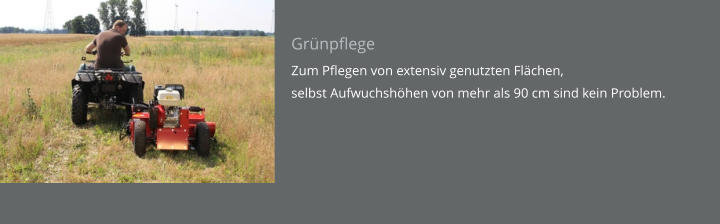 Grünpflege Zum Pflegen von extensiv genutzten Flächen, selbst Aufwuchshöhen von mehr als 90 cm sind kein Problem.