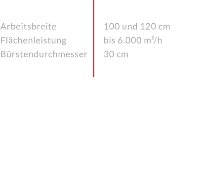 Arbeitsbreite FlächenleistungBürstendurchmesser 100 und 120 cm bis 6.000 m²/h30 cm